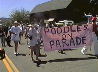 Poodles